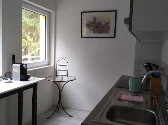 Susanna Haubner Litschau